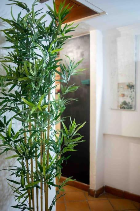 Via Dei Cestari Loft Apartment Rome Exterior photo